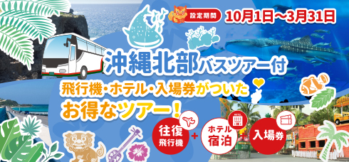 Peachで行く！沖縄周遊観光バスツアー付き旅行 10月〜3月